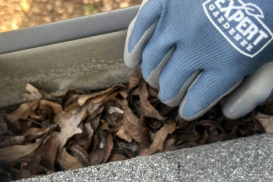 Gutter Cleaning Matlacha